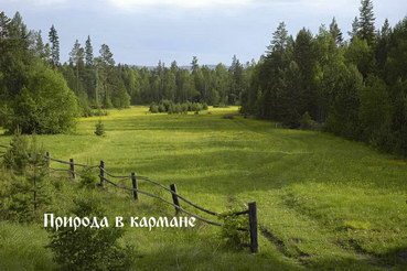 Природа в кармане